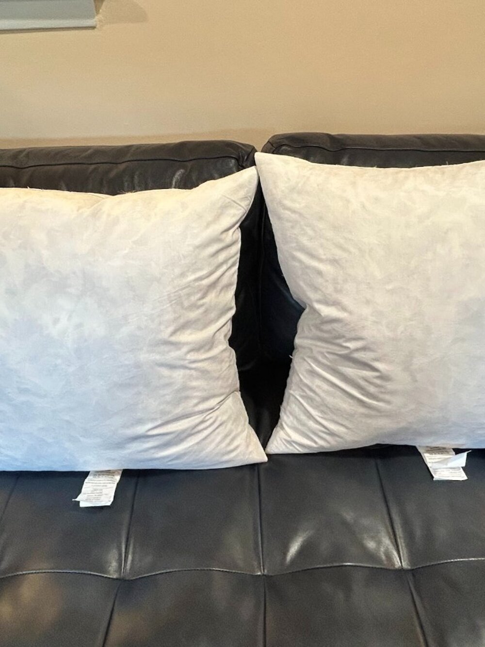 Set of 2 - 22x22 Decorative Throw Pillow Inserts Feathers & Down Fill Excellent